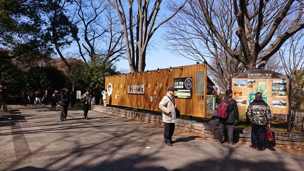 ���V���`���� �@�t�]�[���i����G���A�j