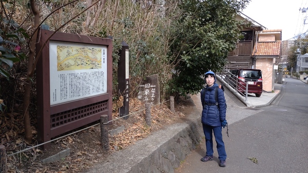 �i�Z�ꗢ��