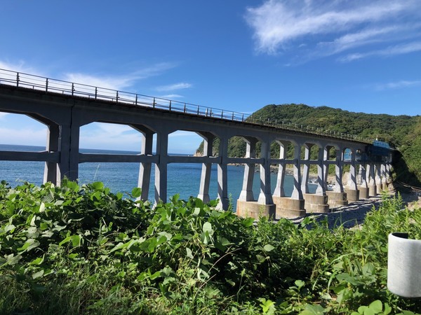 �y���싴��