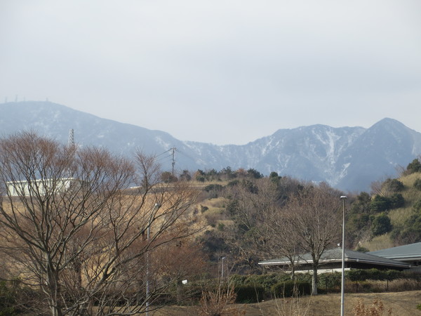 �ʕ{�p�T�[�r�X�G���A