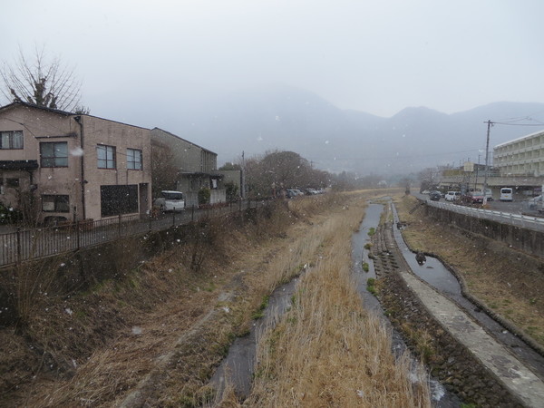 �啪��̒���