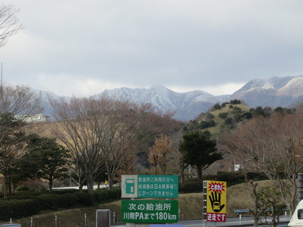 �ʕ{�p�T�[�r�X�G���A