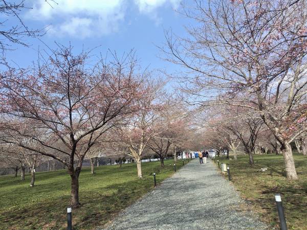 �������� ��������̗�