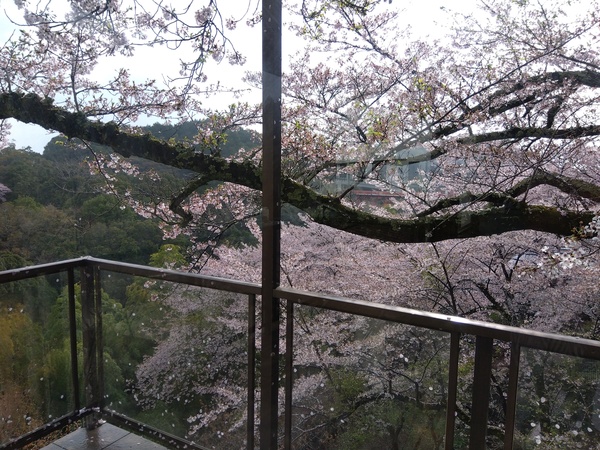 �M�M�R�ό��z�e��