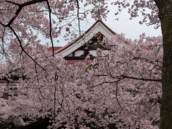 �����隬�����@�����t