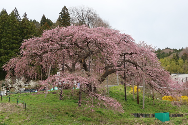 �����̒n����