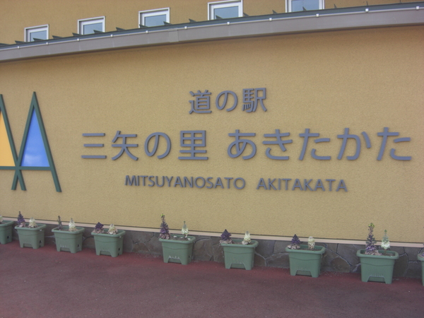 ���̉w �O��̗�����������