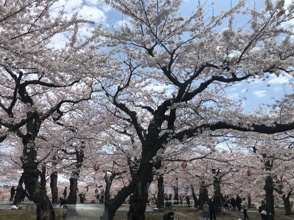 �ܗŊs�����̍�