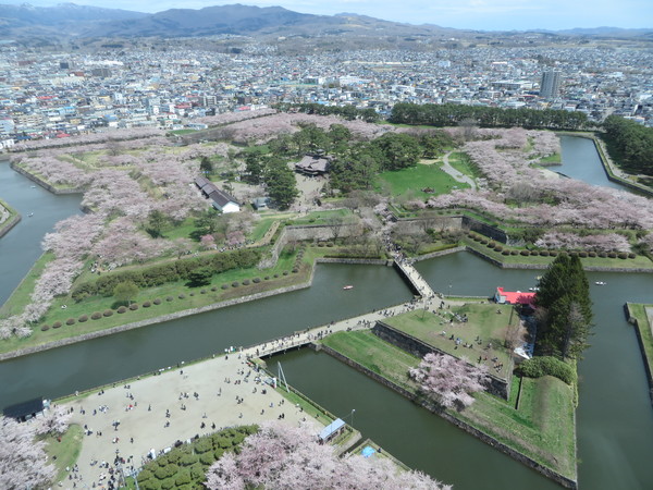 �ܗŊs����