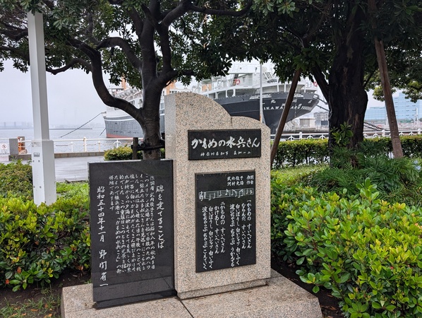 �J�����̐�������̔�