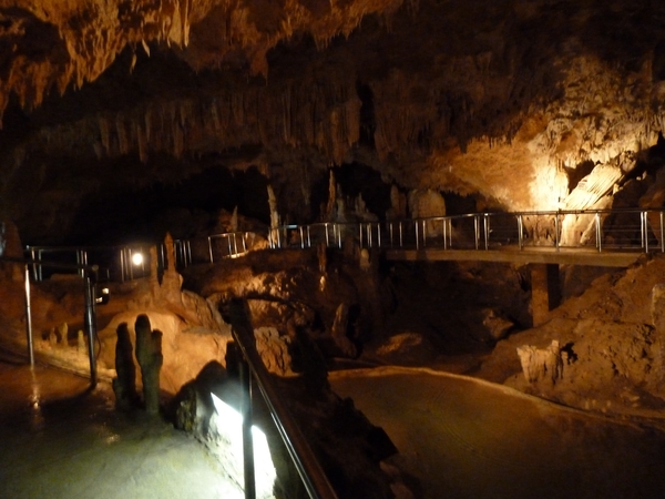 �Ί_���ߓ���