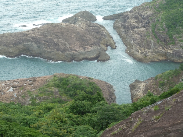 �N���X�̊C