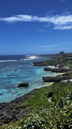 �C���M���[�}�����K�[�f��