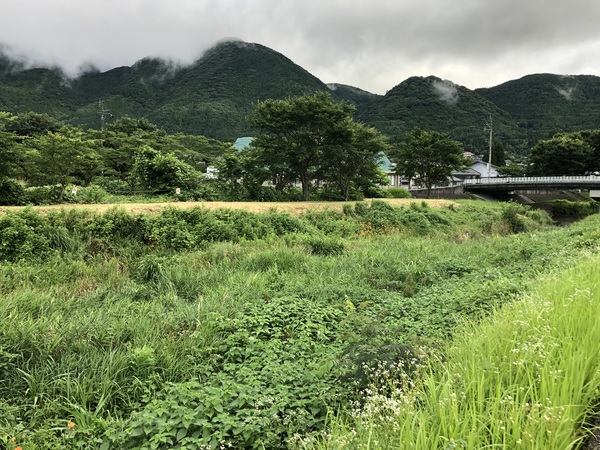 �啪��̒���