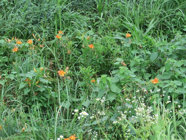 �啪��̒���