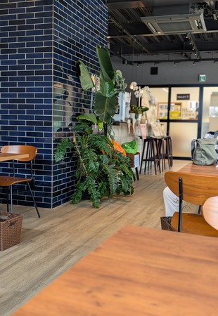 �����_��