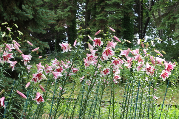 �S����������