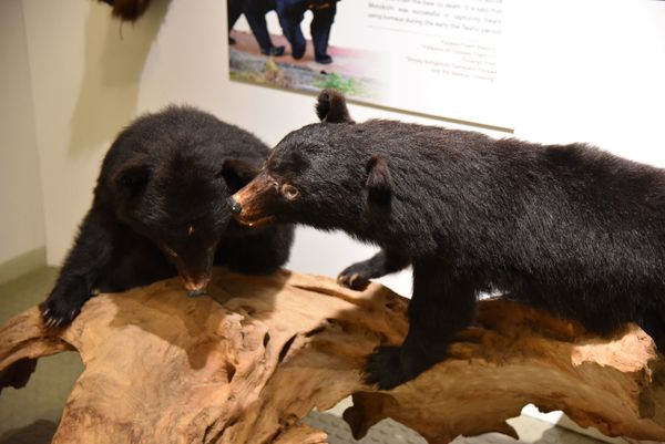 ���򒬗��j���������� �u�ፑ�فv