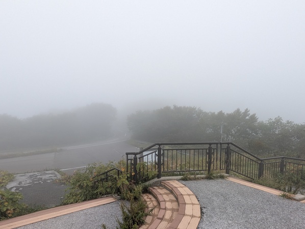 �卲�n�X�J�C���C��