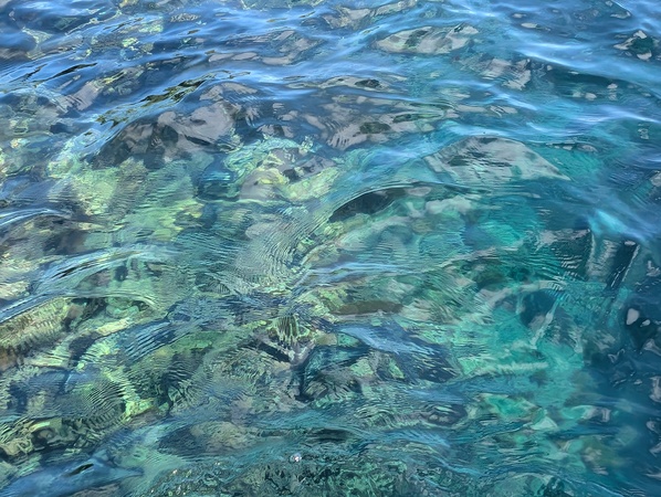 �h���؂͂񂬂�(���炢�M)