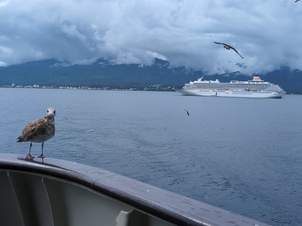 ���Í`�^�[�~�i��