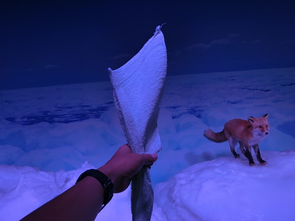 �I�z�[�c�N���X��