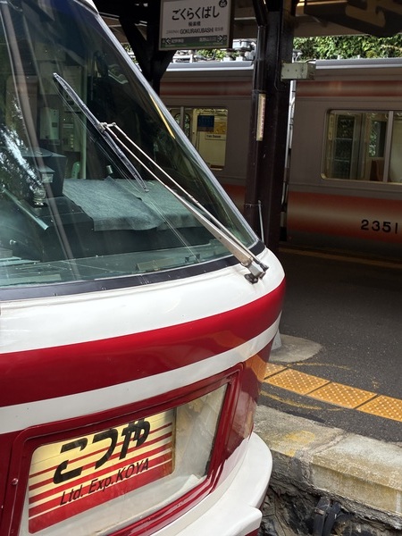 ��C�d�S�Ɋy���w