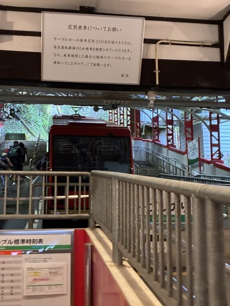 ��C�d�S�Ɋy���w