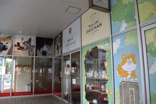 �G���A�Ȃ�����