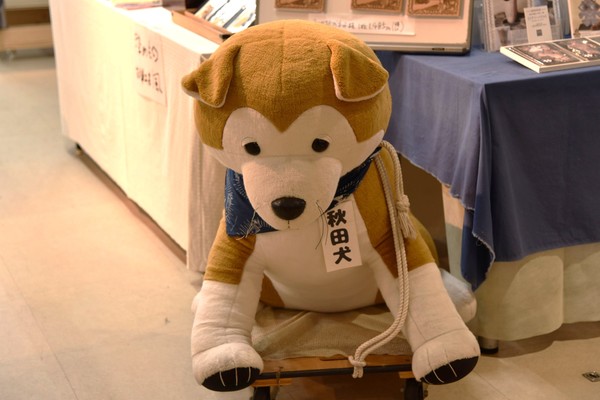 �G���A�Ȃ�����