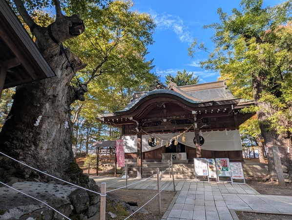 �쒆���Ð�ꔪ����