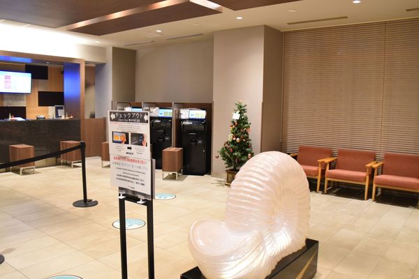 �V�R���� �H��d�̓� �h�[�~�[�C������