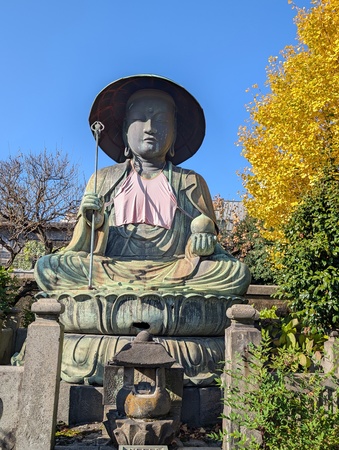 �����n����F����