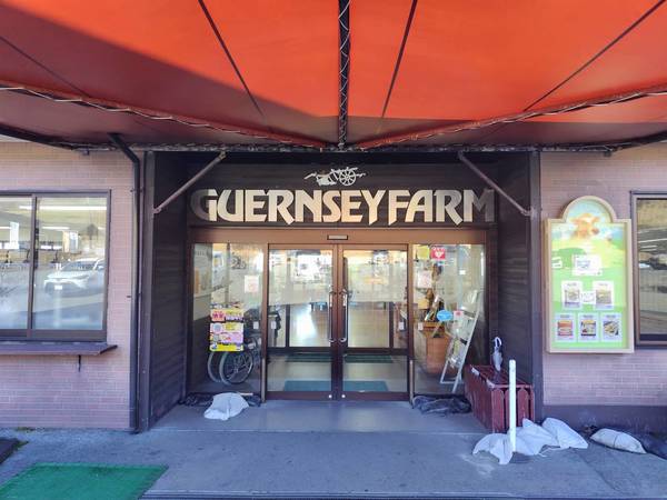 �K���W�[�t�@�[��