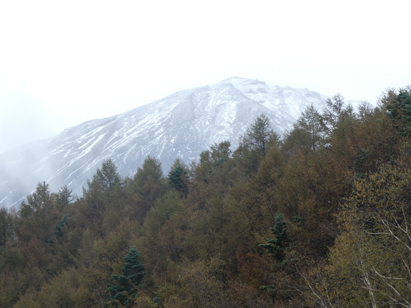 �x�m�X�o�����C��