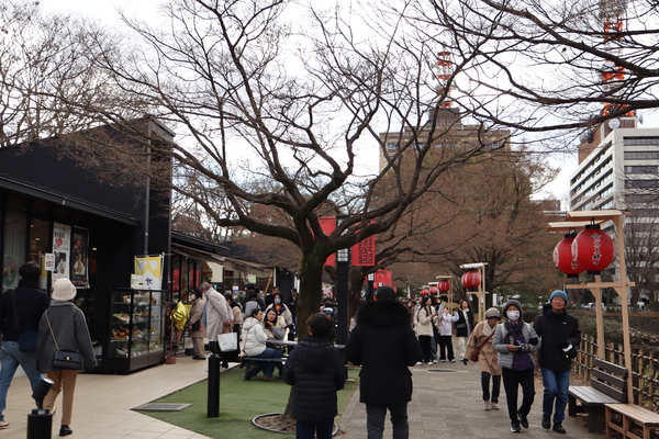 ���V���`���� �@�t�]�[���i����G���A�j