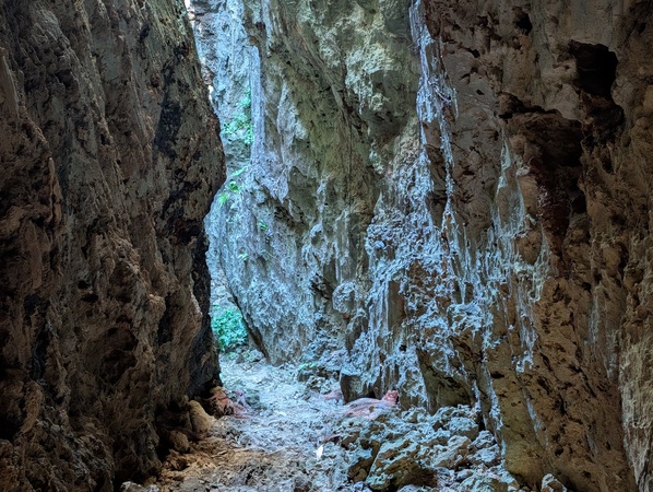 �o���o����