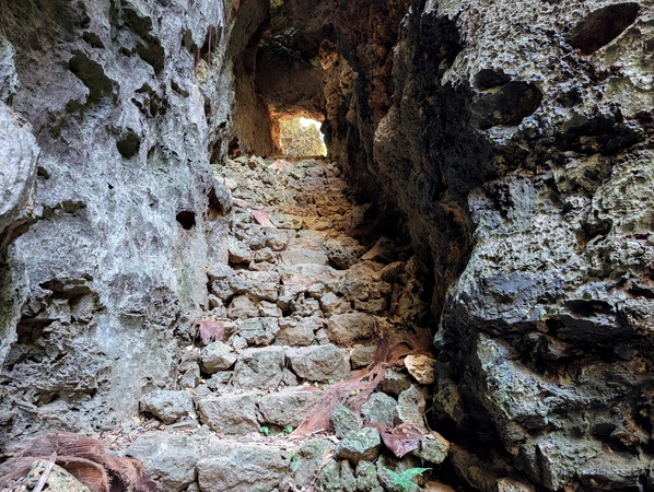 �o���o����