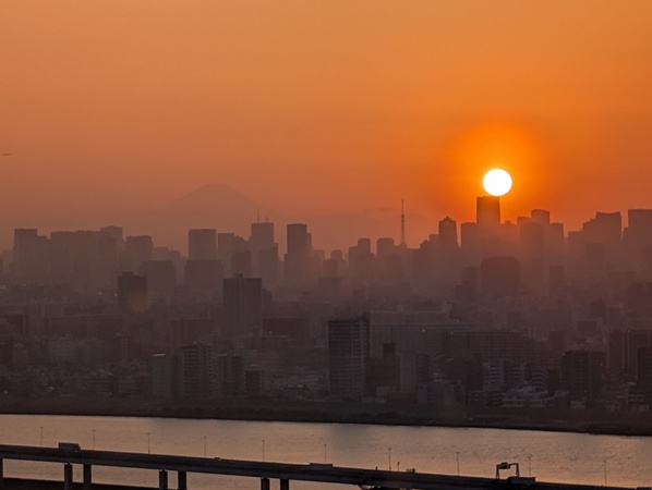 �D�x�^���[