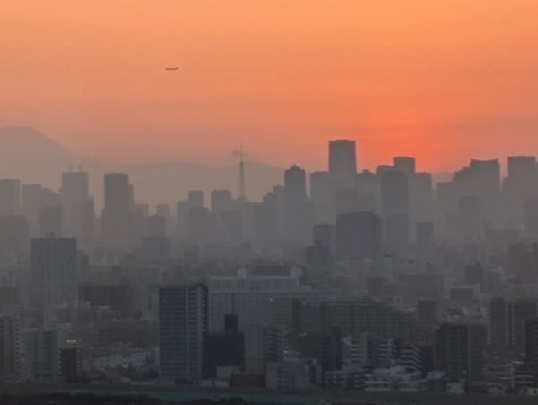 �D�x�^���[