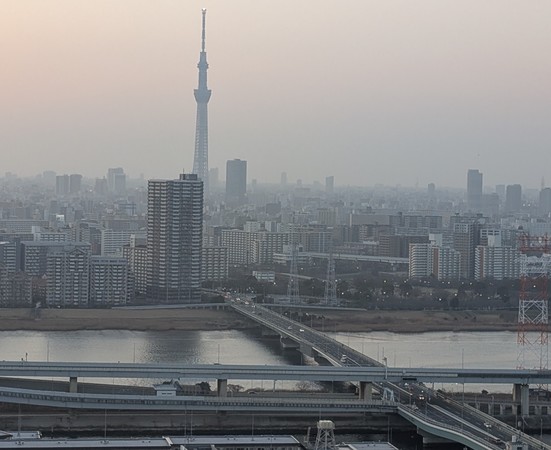 �D�x�^���[