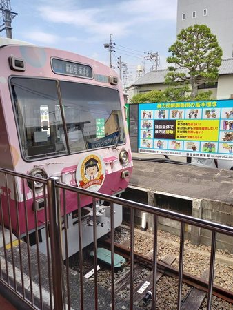 �V�����w