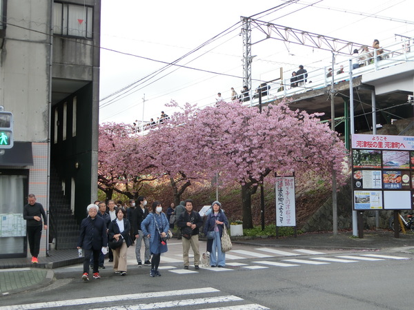 �͒Í��܂�