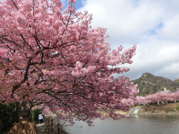 �͒Í��܂�