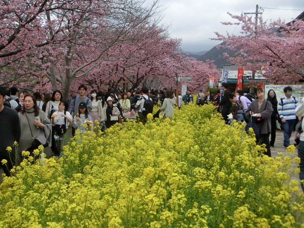 �͒Í��܂�