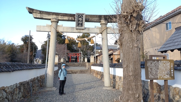 ��씪���_��