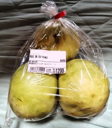 ���̉w �ق����傤
