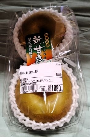 ���̉w �ق����傤