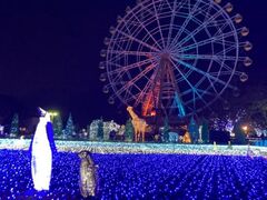 東武動物公園の口コミ一覧 じゃらんnet