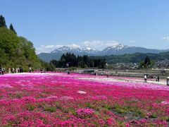 奥只見丸山スキー場】予約・アクセス・割引クーポン - じゃらんnet